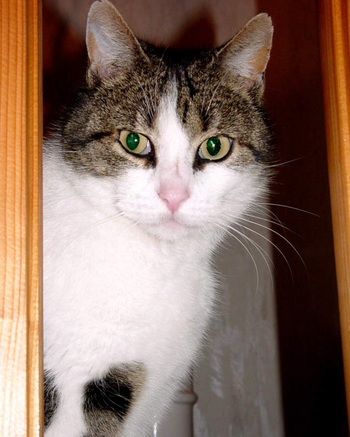 DSC00091